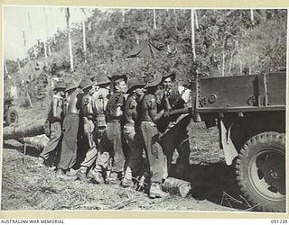 KARAWOP AREA, NEW GUINEA. 1945-04-21. SAPPERS OF 2/1ST FIELD COMPANY, ROYAL AUSTRALIAN ENGINEERS, MANHANDLING COCONUT LOGS FOR BRIDGE BUILDING ONTO A TRUCK. THESE LOGS WEIGH BETWEEN 80 AND 90 LB TO ..