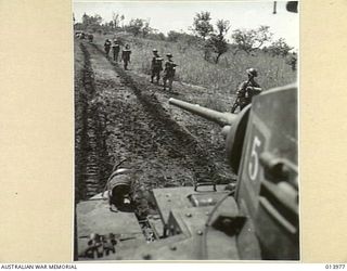 1942-12-05. PAPUA. AUSTRALIAN INFANTRYMEN SUPPORTED BY AN AUSTRALIAN MANNED TANK MOVING FORWARD TOWARDS THE JAPANESE HELD BUNA AREA. (NEGATIVE BY G. SILK.)