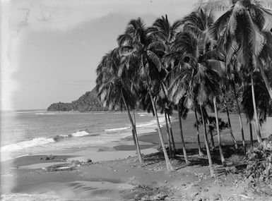 [Coastal landscape]