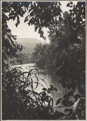 Scenes around Cape Nelson, [1] Frank Hurley