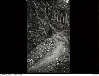 Ramu Valley, New Guinea. 1944-03. A view of a Japanese built road between Bogadjim and the Ramu Valley. The photograph was taken during a reconnaissance by Lieutenant Colonel R.B. Wood, Commanding ..