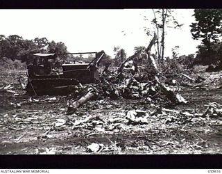 DREGER HARBOUR, NEW GUINEA. 1943-11-02. A BULLDOZER OF THE 808TH UNITED STATES ENGINEER AVIATION BATTALION CLEARING AN AREA FOR A NEW AIRSTRIP