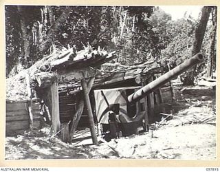 KAHILI, BOUGAINVILLE. 1945-10-05. JAPANESE 6-INCH NAVAL GUN, WELL CAMOUFLAGED, MOUNTED AT THE ENTRANCE TO BOUGAINVILLE STRAIT. THE AREA IS NOW OCCUPIED BY TROOPS OF HEADQUARTERS 2 CORPS