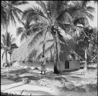 Bure on beachfront, Castaway Island resort, Fiji, November 1966 / Michael Terry