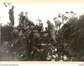 DALLMAN RIVER, NEW GUINEA, 1944-02-23. MEMBERS OF THE 2/14TH FIELD REGIMENT MANHANDLING A SHORT 25-POUNDER GUN UP A STEEP INCLINE