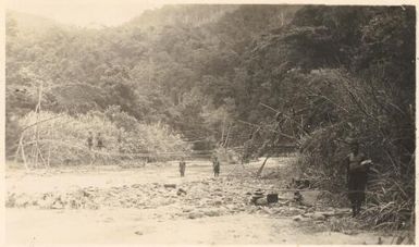 Making a Kund [i.e. Kunda] bridge, Lower Watut [ Central New Guinea], October 1936