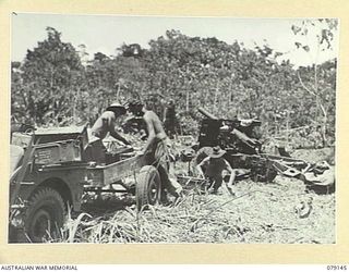 TSIMBA AREA, BOUGAINVILLE ISLAND. 1945-02-16. TROOPS OF THE 4TH FIELD REGIMENT, UNLOADING AMMUNITION, FILLING SANDBAGS AND DIGGING PITS FOR THEIR 25 POUNDERS SOON AFTER THEIR LANDING AT PUTO BEACH