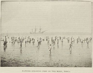 Tongans spearing fish on the reef, Tonga