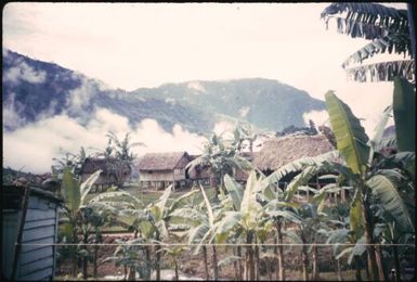 Tapini (2) : Papua New Guinea, 1956 / Terence and Margaret Spencer