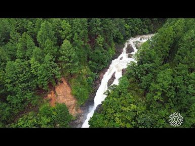 Préserver les bassins versants d'eau potable de la Nouvelle-Calédonie suivi de projet épisode 2/3