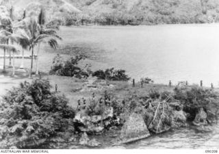 GOODENOUGH ISLAND, NEW GUINEA. 1942-10. IMITATION GUNS CLEVERLY CAMOUFLAGED, BY A SMALL GROUP OF AUSTRALIANS WHO SIEZED THE ISLAND. THEY ARE PART OF A MASTER PIECE OF BLUFF AND DECEPTION WHICH ..