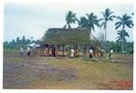 Hihifo 1969. Building the king's house in Loto'ā before the Agricultural Show and Hā'ele. Falehau people.