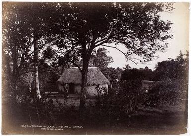 Tongan Village, Neiafu, Vavau