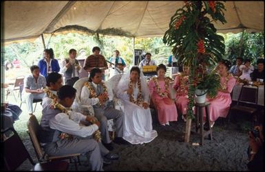 Wedding party, Rarotongan wedding