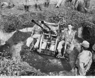 NEW IRELAND, 1945-10. ALLIED AND JAPANESE SERVICE PERSONNEL WITH A QUICK FIRING ANTI-AIRCRAFT WEAPON. (RNZAF OFFICIAL PHOTOGRAPH.)