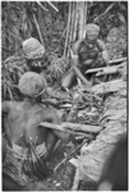 Pig festival, stake-planting, Tuguma: men butcher small pig for ritual meal