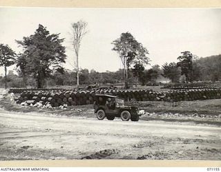 MAPE RIVER, NEW GUINEA, 1944-03-15. A PETROL, OIL AND LUBRICANT DUMP, BUILT BY THE 870TH UNITED STATES AVIATION ENGINEER BATTALION, WHO ALSO CLEARED THE AREA AND CONSTRUCTED THE ROAD