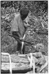 Moruka stripping mamalarula bark for making plaited wa'i bags