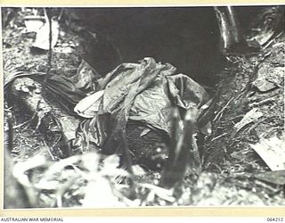 SHAGGY RIDGE, NEW GUINEA. 1944-01-22. AFTER TROOPS OF THE 2/12TH INFANTRY BATTALION HAD PULLED THEMSELVES, HAND OVER HAND, UP ROPES ON THE FACE OF MOUNT PROTHERO, THEY FOUND THAT THE WHOLE CREW OF ..