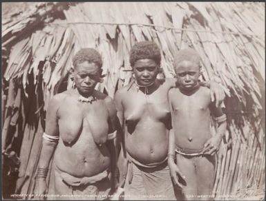 Three women of Ferasiboa, Malaita, Solomon Islands, 1906 / J.W. Beattie