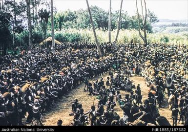 Crowd of dancers