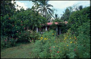 House and garden.