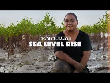 HOW TO SURVIVE SEA LEVEL RISE, WITH ANNMARY