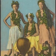 Hula dancers