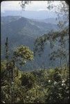 Kwiop ridge, distant view