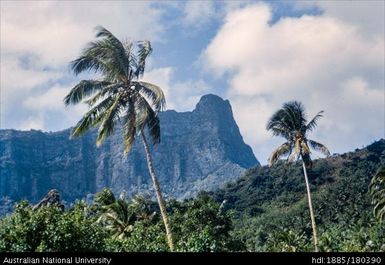 Tahiti - view of mountain, palm trees in foreground