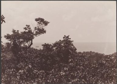 The Southern Cross at sea viewed from village on Tegua, Torres Islands, 1906 / J.W. Beattie