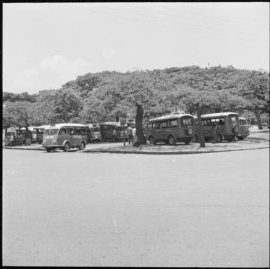 Tour buses parked on nature strip, Noumea, New Caledonia, 1967 / Michael Terry