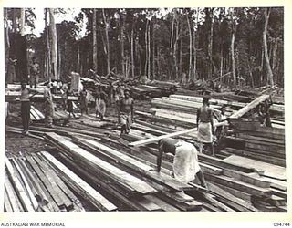 YALU AREA, NEW GUINEA, 1945-07-30. NATIVES WORKING WITH NO. 3 PLATOON, 2/1 FORESTRY COMPANY, ROYAL AUSTRALIAN ENGINEERS, STACKING AND LOADING TIMBER