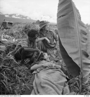 1942-11-19. NEW GUINEA. A WOUNDED DIGGER, PTE. F.A. MATTHEWS (N.S.W.) IS GIVEN A DRINK AS HE WAITS TO BE EVACUATED BY PLANE. LEAVES STUCK IN THE GROUND PROVIDE SHADE FOR HIM WITH HIM IS NX28738  ..