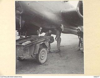 CAPE PUS, WEWAK AREA, NEW GUINEA. 1945-09-06. CAPE WOM, WEWAK AREA, NEW GUINEA. 1945-09-06. PRIVATE H. DRYDEN (1), AND PRIVATE CAMPBELL (2), MEMBERS OF 6 DIVISION POSTAL UNIT, UNLOADING MAIL BAGS ..