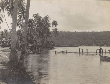 Bay with palm trees. From the album: Photographs of Apia, Samoa