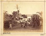 Photograph - In Native Village Near Suva - Fiji