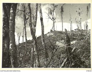 BOUGAINVILLE ISLAND. 1944-12-31. A SECTION OF THE REAR OF ARTILLERY HILL DURING THE AUSTRALIAN ATTACK ON JAPANESE POSITIONS IN THE PIATERAPAIA SECTOR