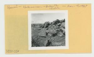 [Dubautia cilolata in Hawaii, envelope IE32-226]