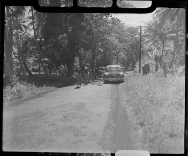 Cyclists on road, Tahiti, surrounded by palm trees