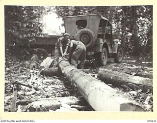 MEVELO RIVER, HENRY REID BAY, NEW BRITAIN. 1945-03-05.SAPPERS OF THE 4TH FIELD COM0PANY, ATTACHING A LARGE LOG TO A JEEP FOR TOWING TO THE SITE OF THE NEW BRIDGE THE UNIT IS BUILDING OVER THE ..