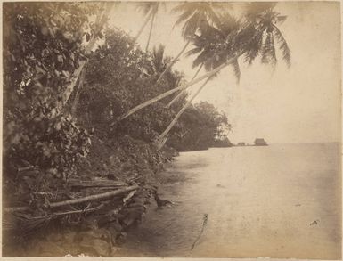 Pohnpei, 1886