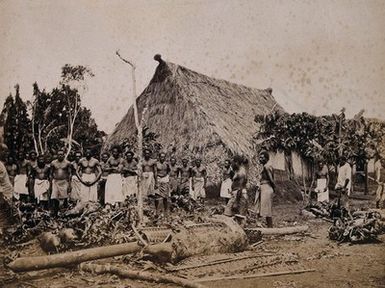 ["Fiji (?): village chiefs wearing white robes with slaughtered animals outside a large grass-roofed hut. Photograph, ca. 1880."]