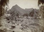 A devastated landscape after floods in Mooréa island