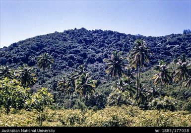 57 miles after Nandi