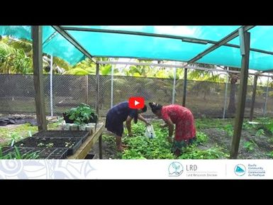 Communities securing food resources and adopting healthy lifestyles: Marshall Islands