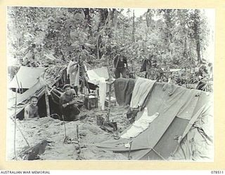 BOUGAINVILLE ISLAND, 1945-01-16. TIRED MEMBERS OF THE 47TH INFANTRY BATTALION RETURNING TO THE UNIT LINES AFTER CARRYING OUT A PATROL IN THE ADELE RIVER AREA. IDENTIFIED PERSONNEL ARE:- Q109532 ..