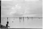 People walking on reef