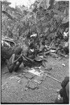 Pig festival, pig sacrifice, Tsembaga: ritual exchange of shell valuables, steel axes, and other wealth displayed on mat, people share pork