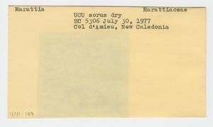 [Marattia in New Caledonia, envelope IE41-109]